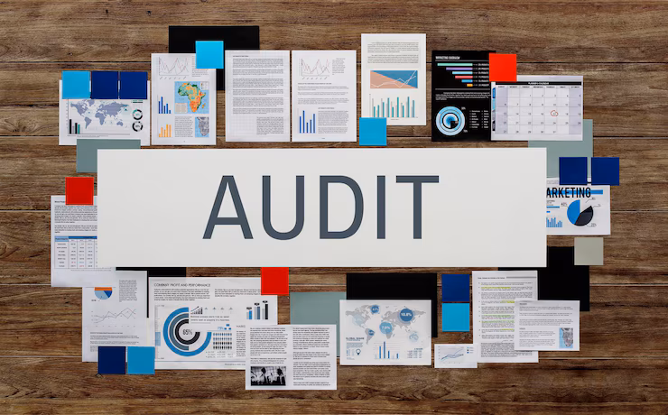Internal Audits and Investigations